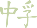 Logo Zhong Fu